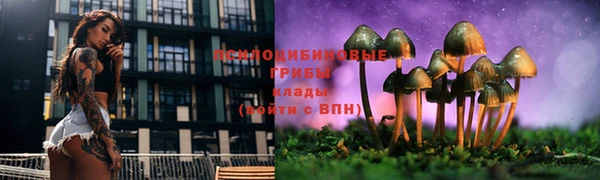 ALPHA PVP Зеленокумск