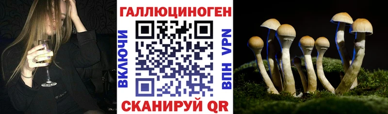 Галлюциногенные грибы MAGIC MUSHROOMS  Купить где  Шенкурск 
